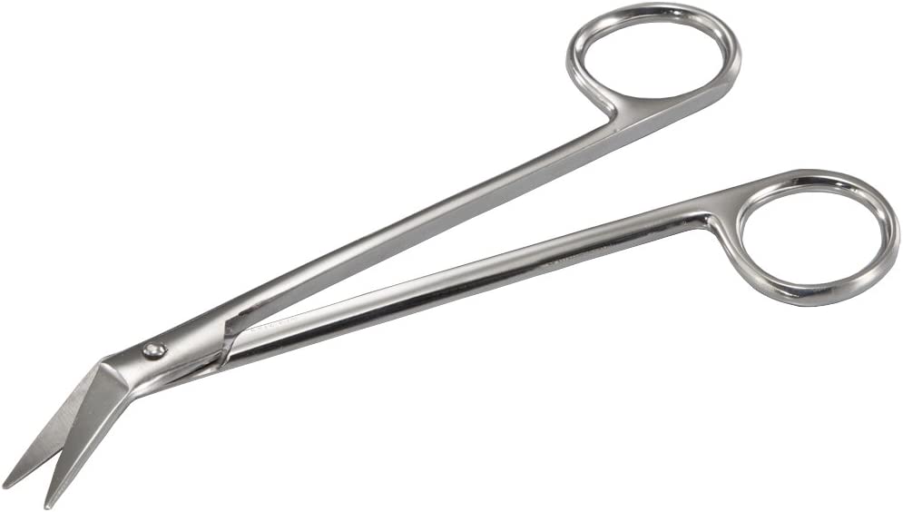 510PV0oiYL._AC_SL1000_-1