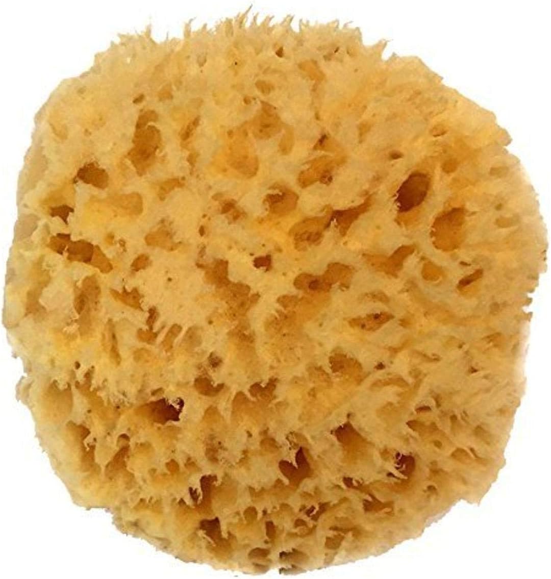 616uJMoh01L._AC_SL1200_-1