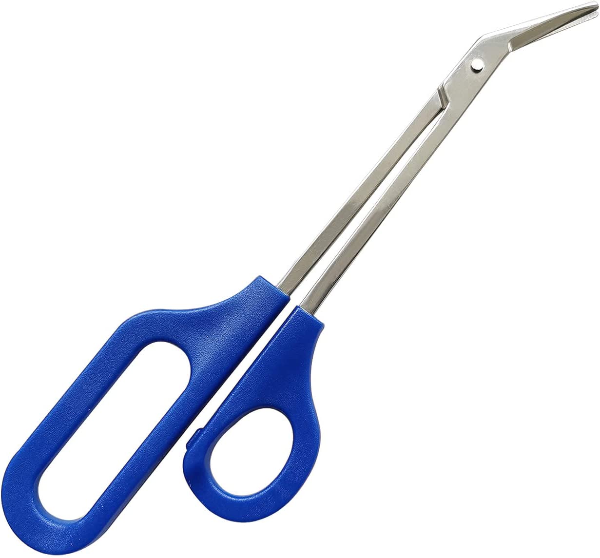 61OB-6fcFOL._AC_SL1500_