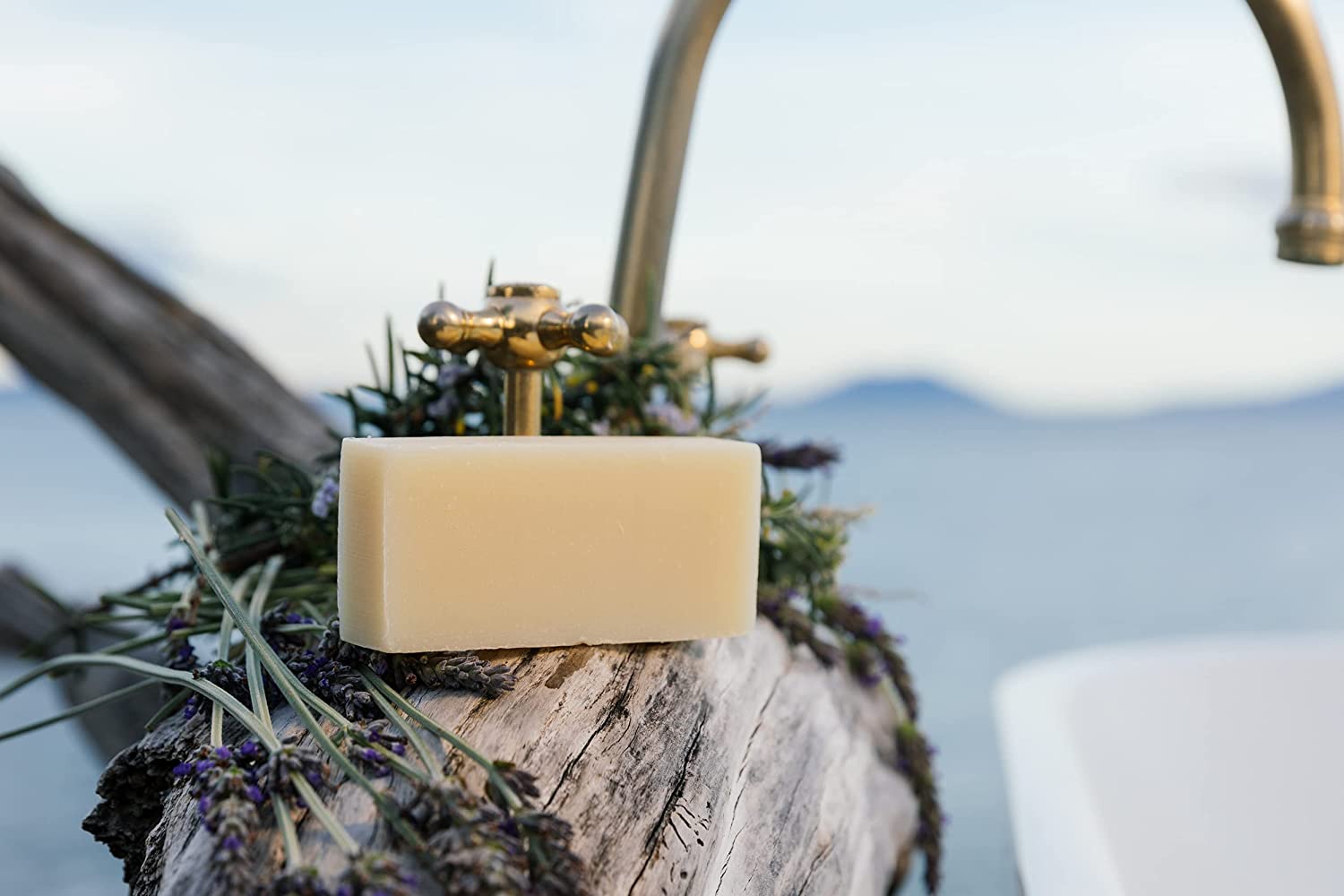 71Fp7Ey8ddS._SL1500_-1