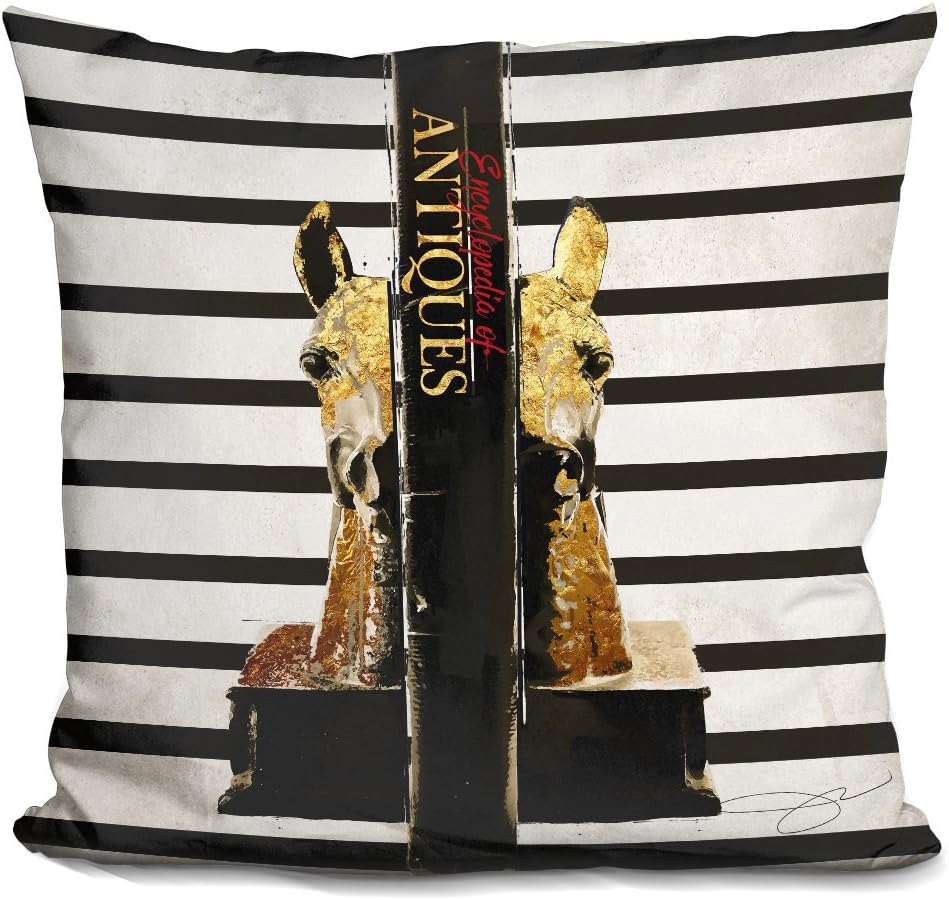 71ah6c5GHL._AC_SL1000_-1