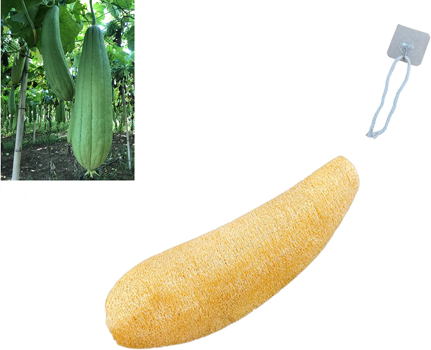 71pAJ85VobL._AC_SL1500_-1